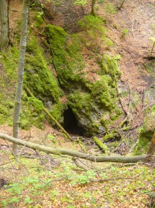 Obrázok
